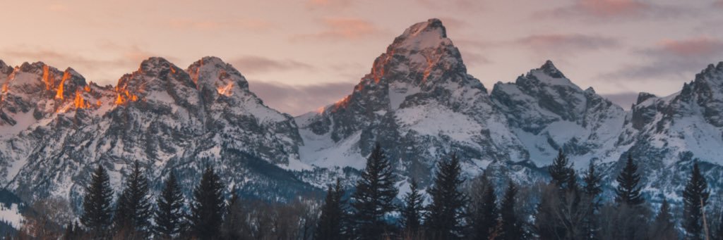 theToothPerry's profile banner image