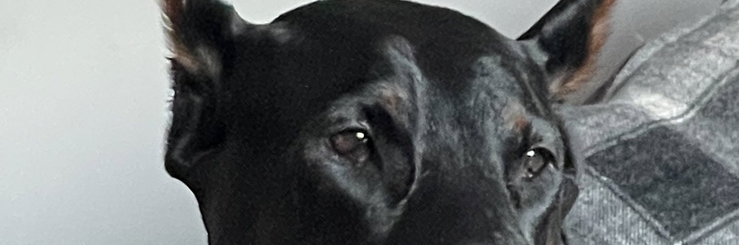 WhiteHindle's profile banner image