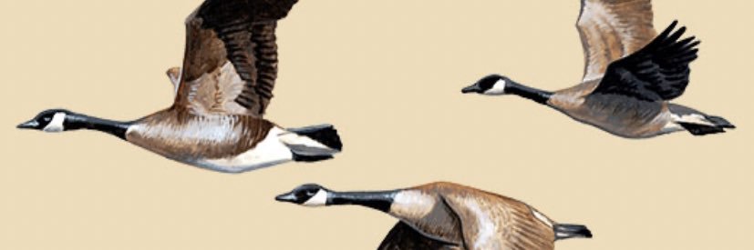 Everyone Has A Podcast banner