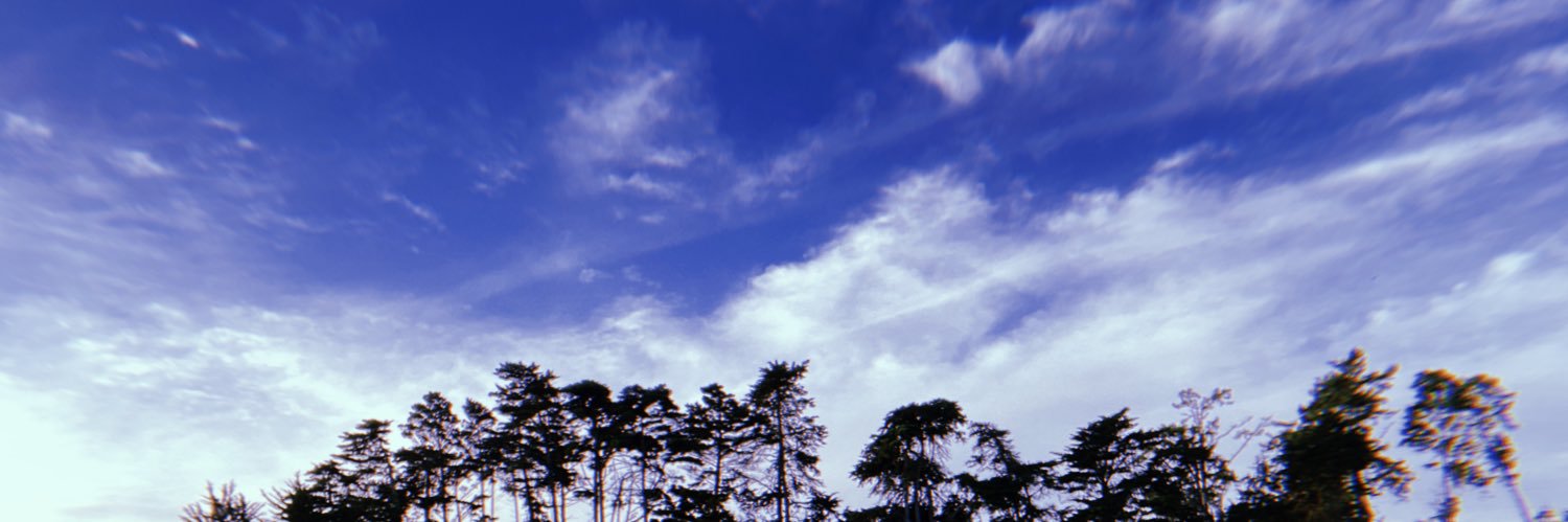 Sam_mejia91's profile banner image