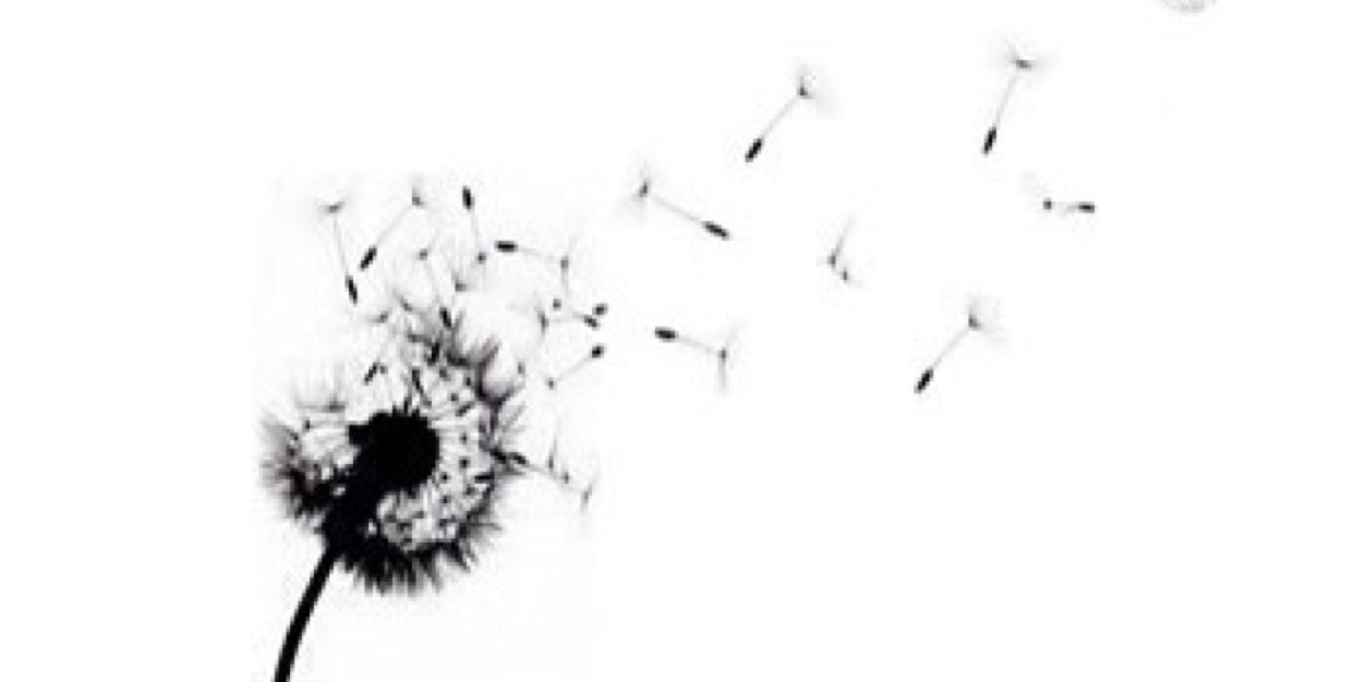 sam_alexis's profile banner image