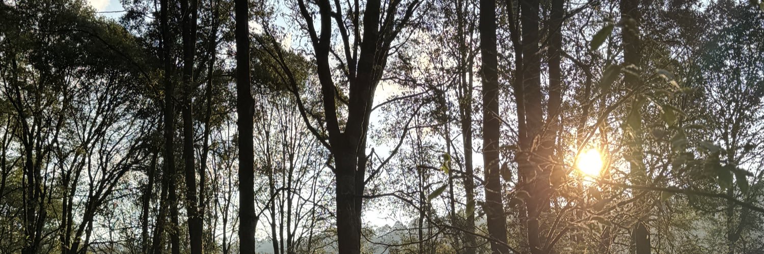 jonhmarv's profile banner image