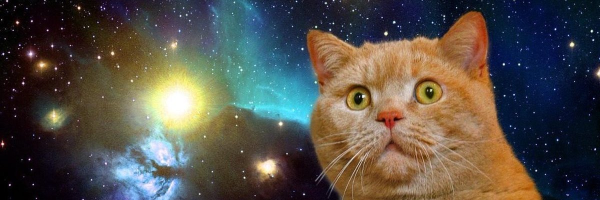 mazco_dx's profile banner image
