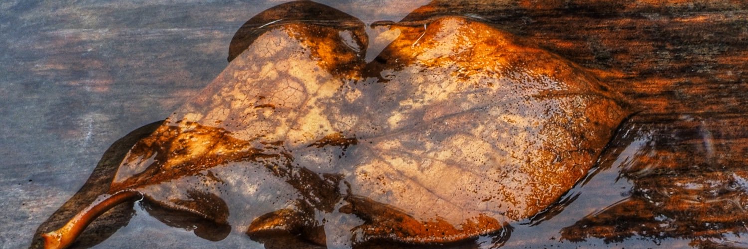 Brent Carrington Roberts banner