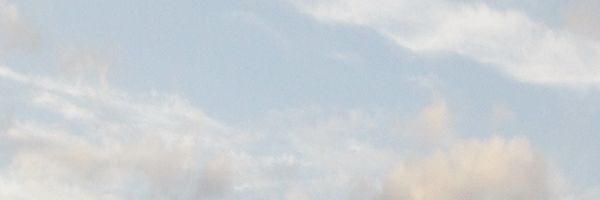 Ojjo_bd's profile banner image