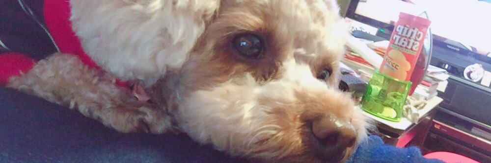 swoona4328's profile banner image