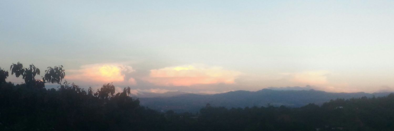 leidy1294's profile banner image