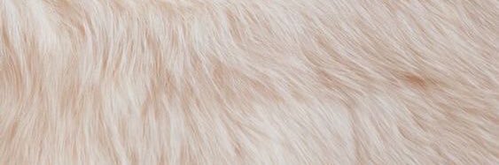 Stewardess_7's profile banner image