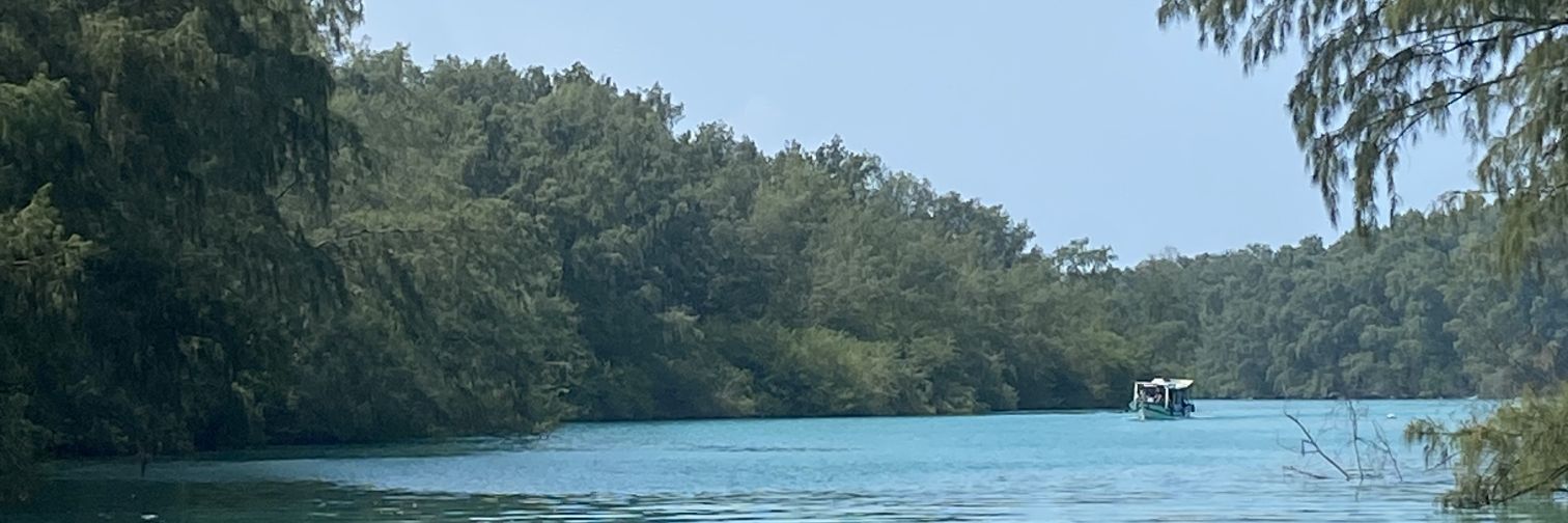 ama🍋 banner
