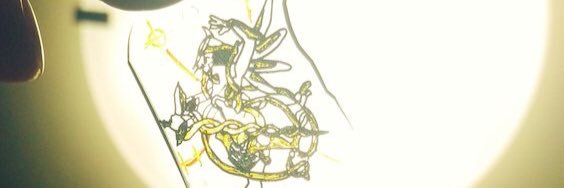yp_marui's profile banner image