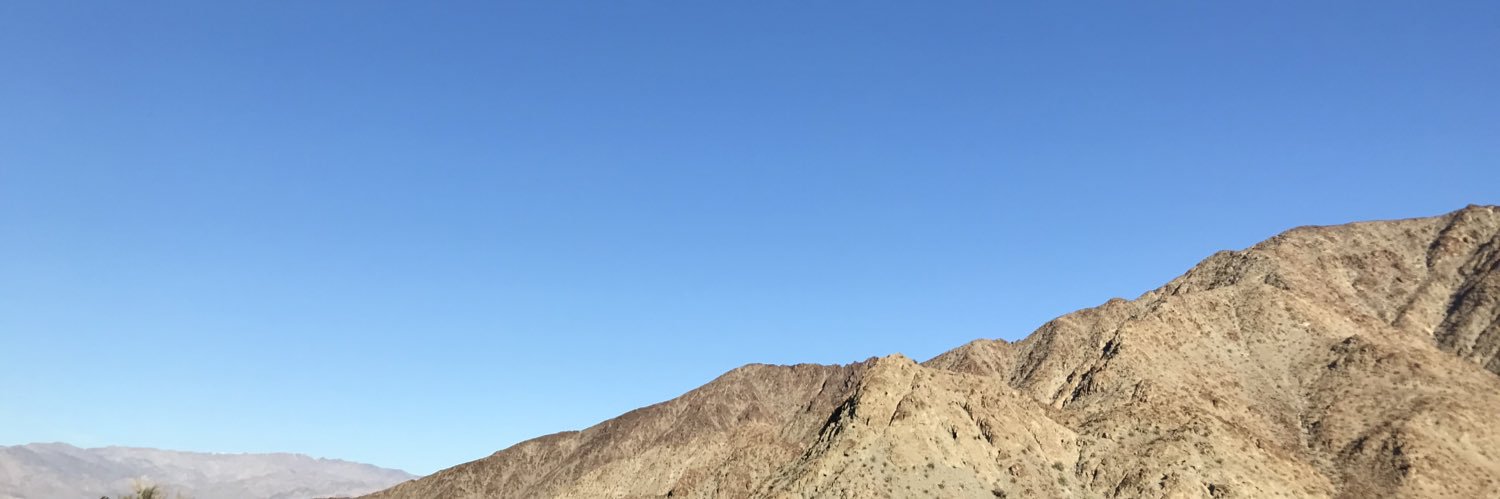AlisonBrody's profile banner image
