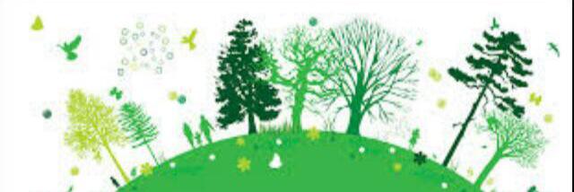 greenaction15's profile banner image