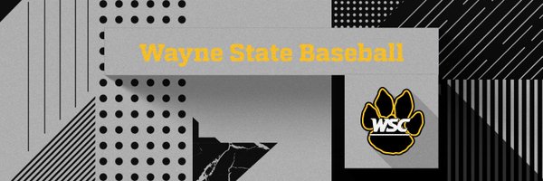 WSC Baseball Profile Banner