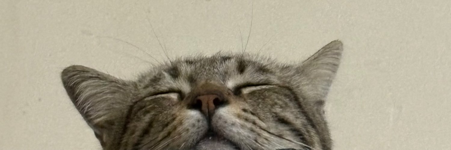 aliteptp's profile banner image