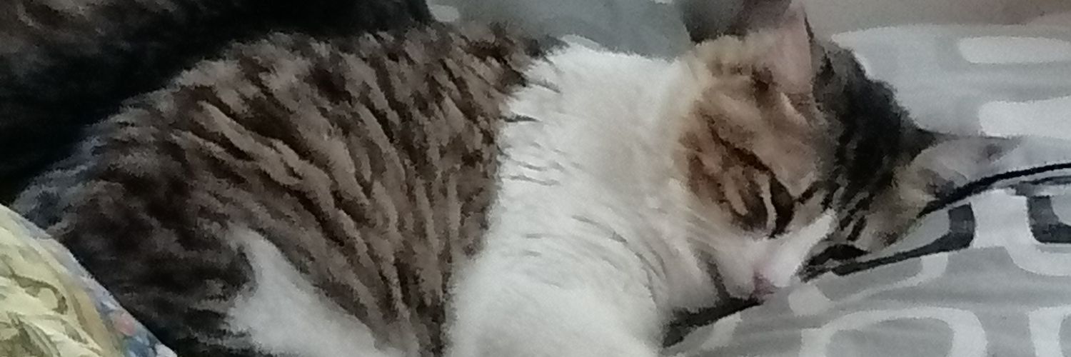 AOsanpi's profile banner image