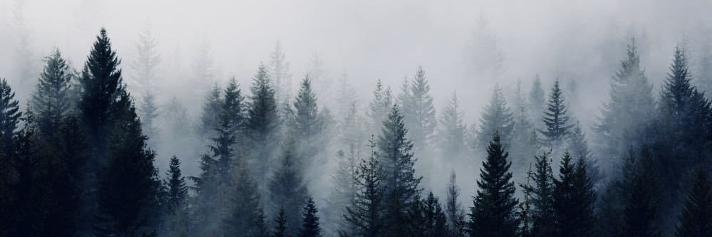 slswofford's profile banner image