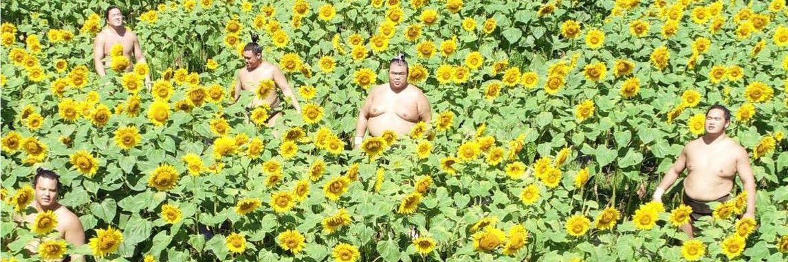 Jonathan Blomqvist banner