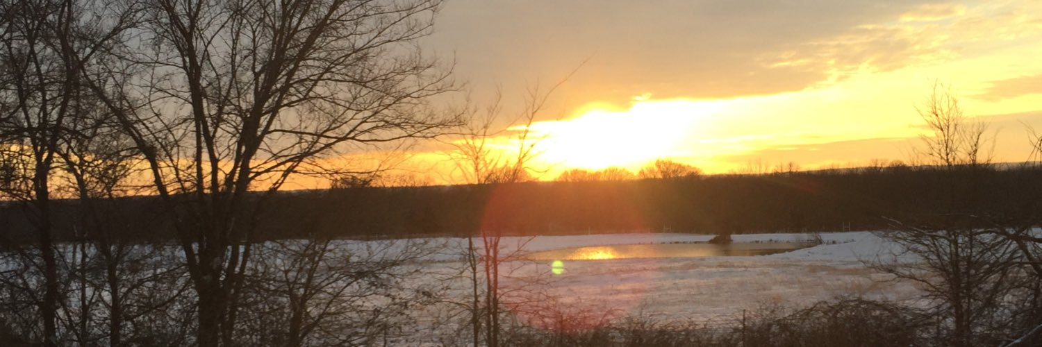 BrownTyler74's profile banner image