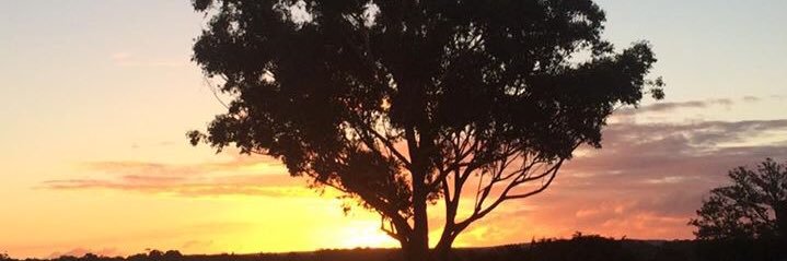 Rayoni Nelson banner