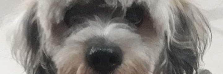 AGMJ94's profile banner image