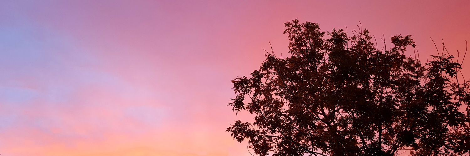 hannahbaron's profile banner image