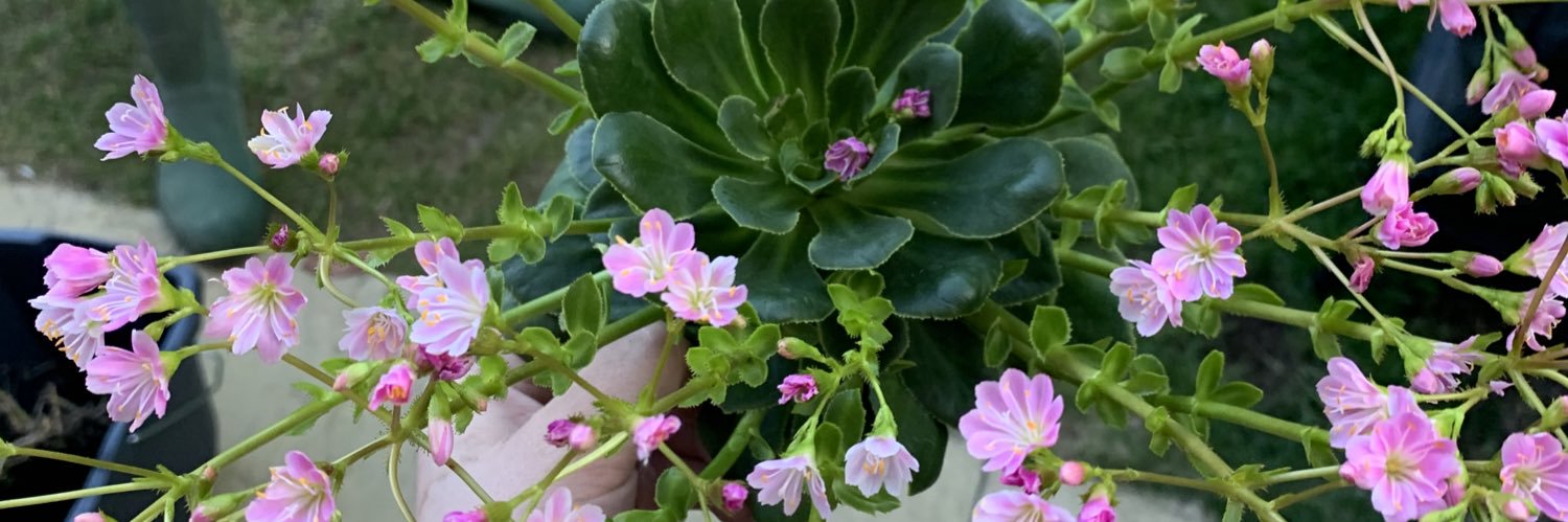 mollysmith13's profile banner image