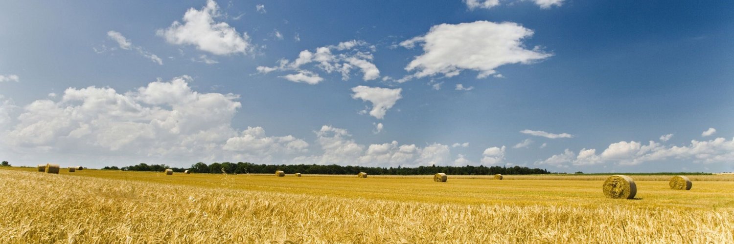jamielin199's profile banner image