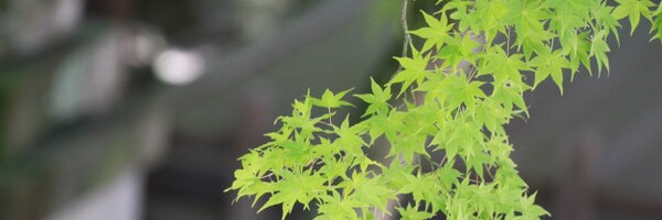 fperfectti Profile Banner