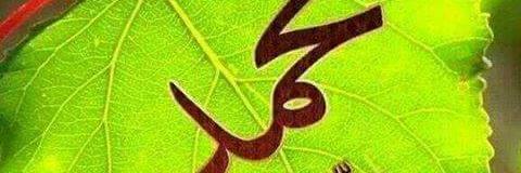 nasralak's profile banner image