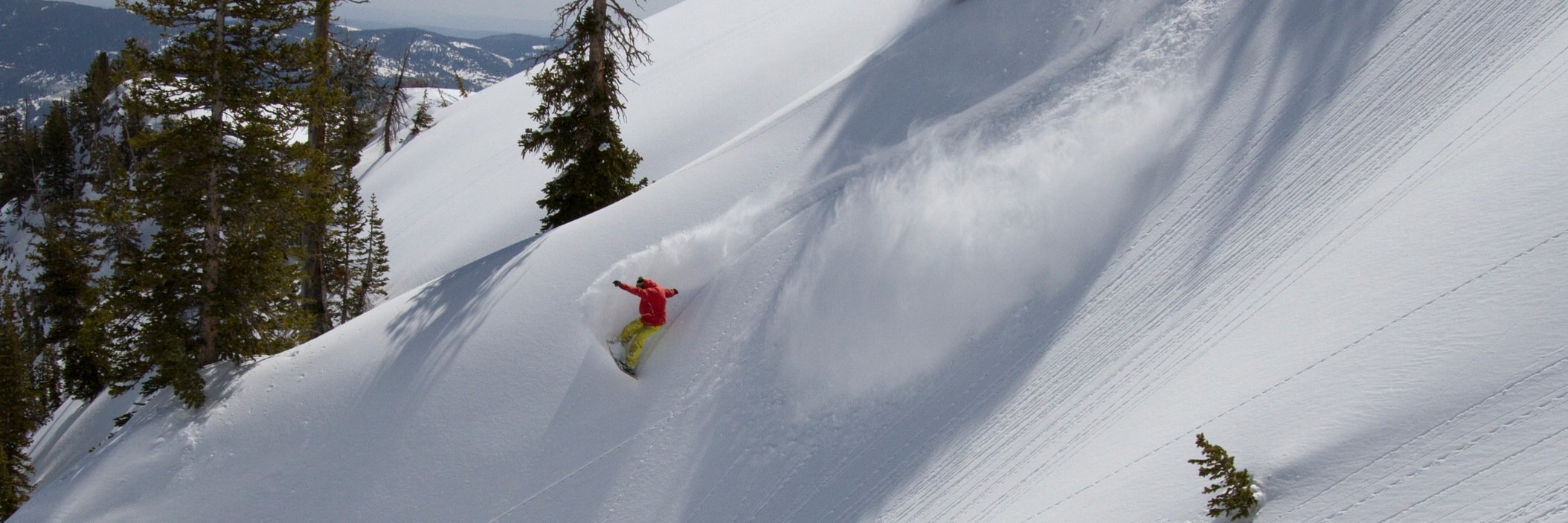 Grassroots Powsurf banner