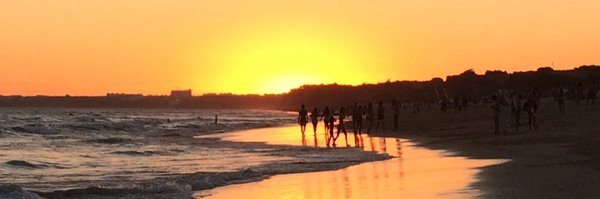 SarahGoldsmith Profile Banner