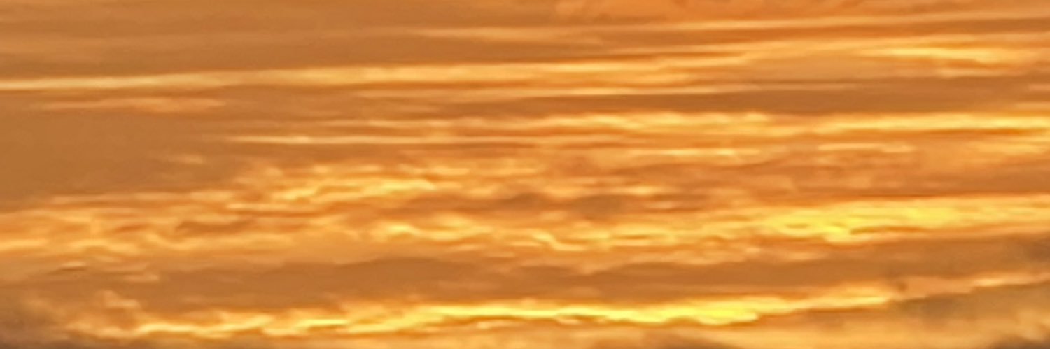leannbeannn's profile banner image