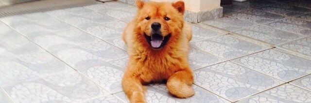 rodrigoalgaba's profile banner image