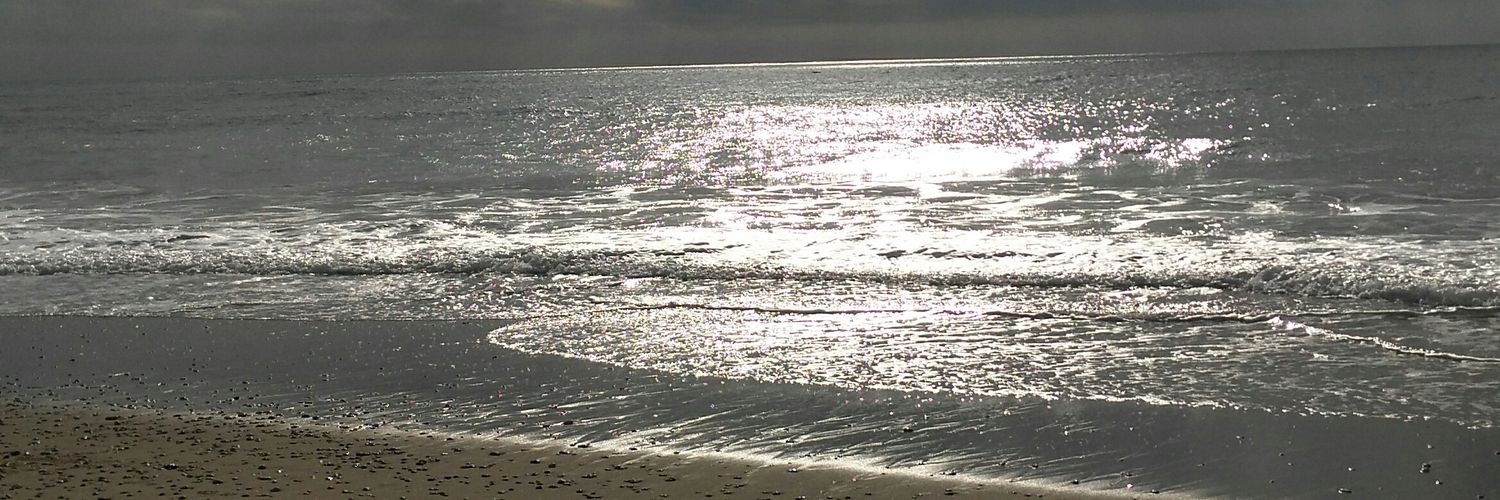 sealfi's profile banner image