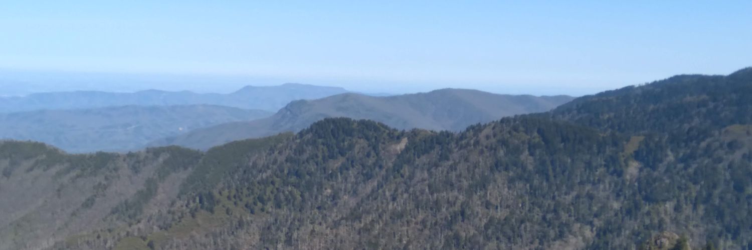 BrandonV1977's profile banner image