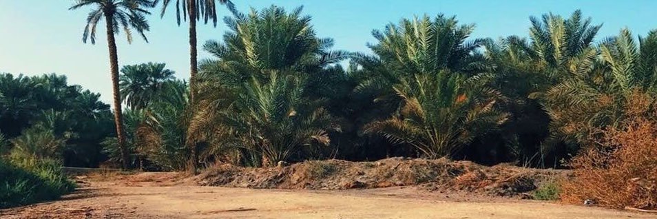 عبدالله الخالدي banner