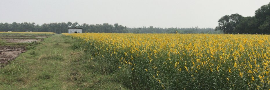 Bhupathy banner