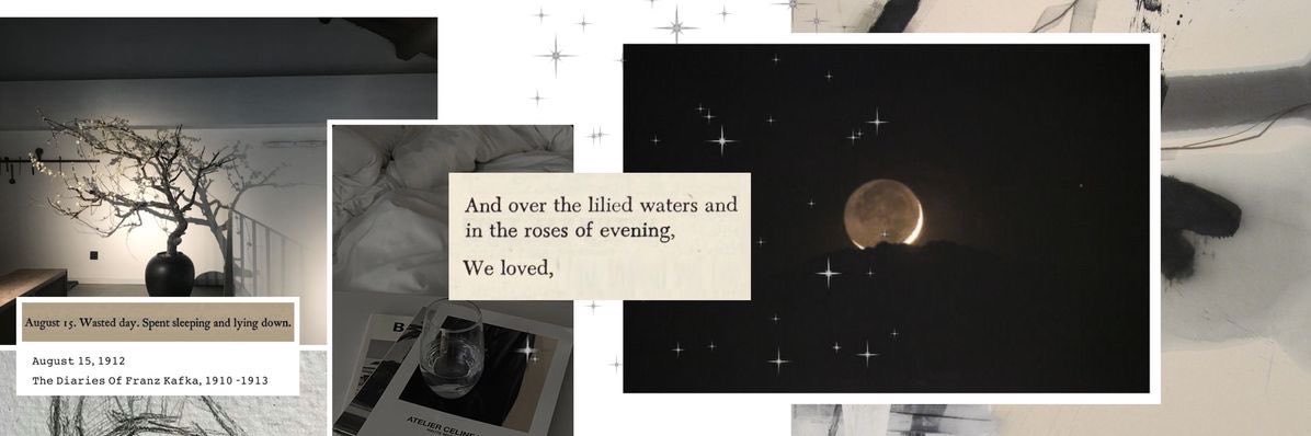 sairiwalee's profile banner image
