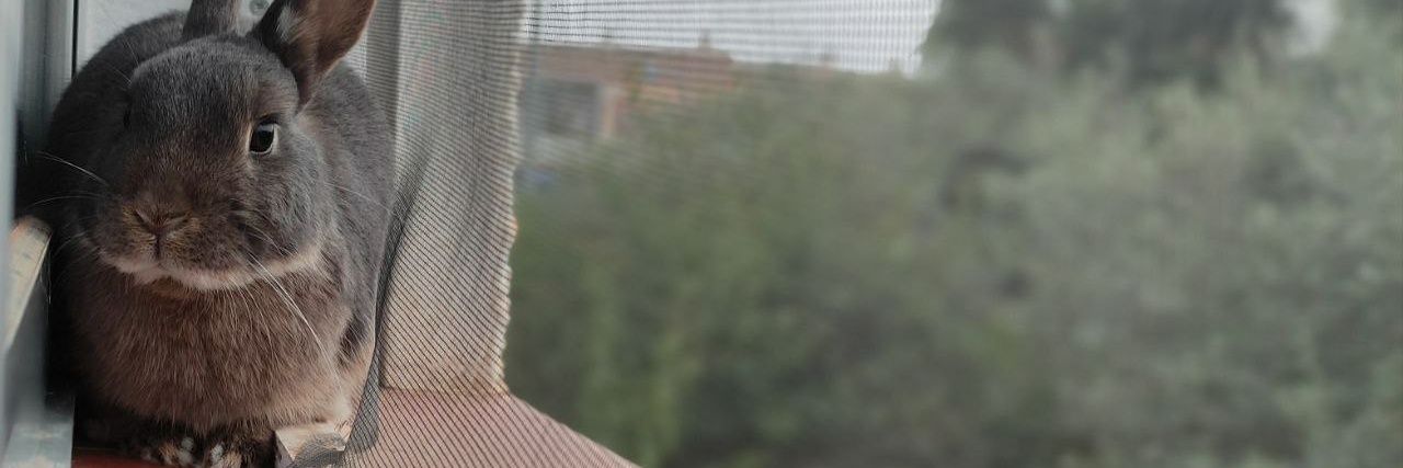 Vishaas's profile banner image