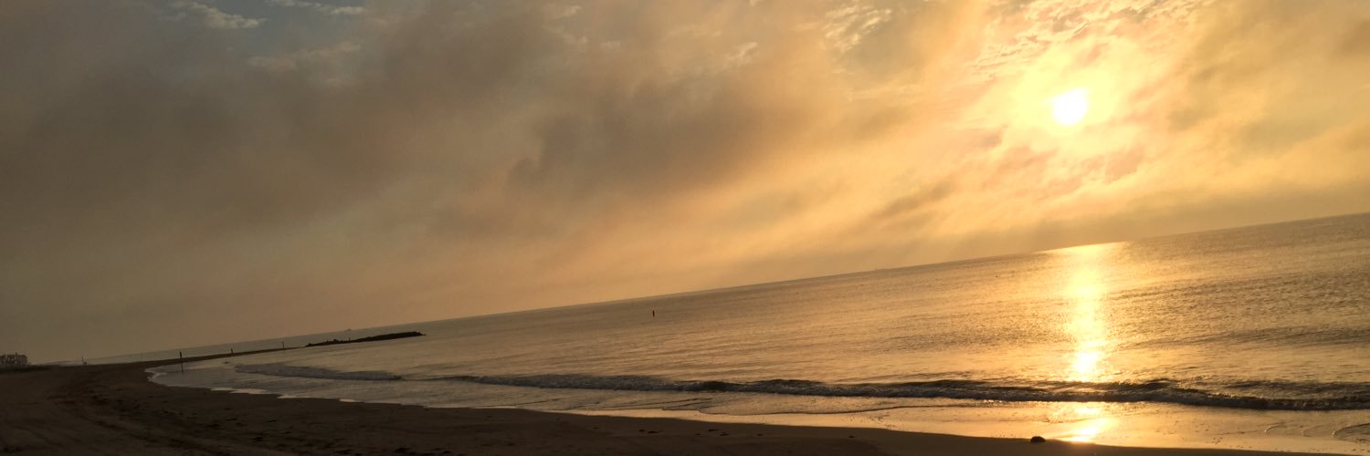 Beastienic's profile banner image