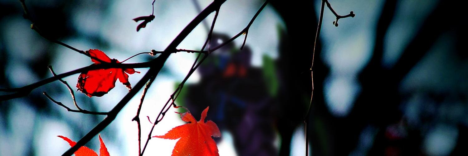 cadito's profile banner image