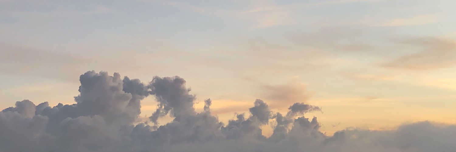lilacskydee's profile banner image