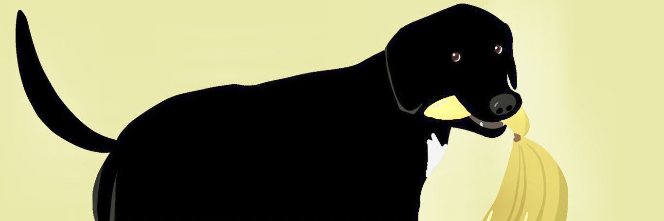 arasillyy's profile banner image