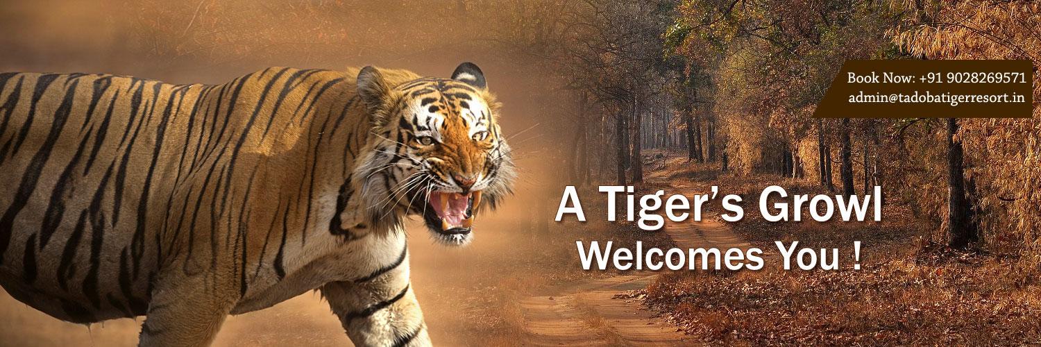 TadobaResort's profile banner image
