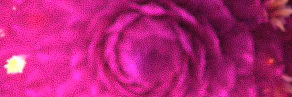 AdolphaBattes Profile Banner