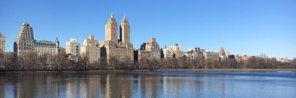 Clare Marchant banner