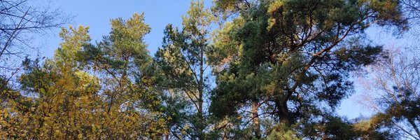 KenttalaMarjo Profile Banner