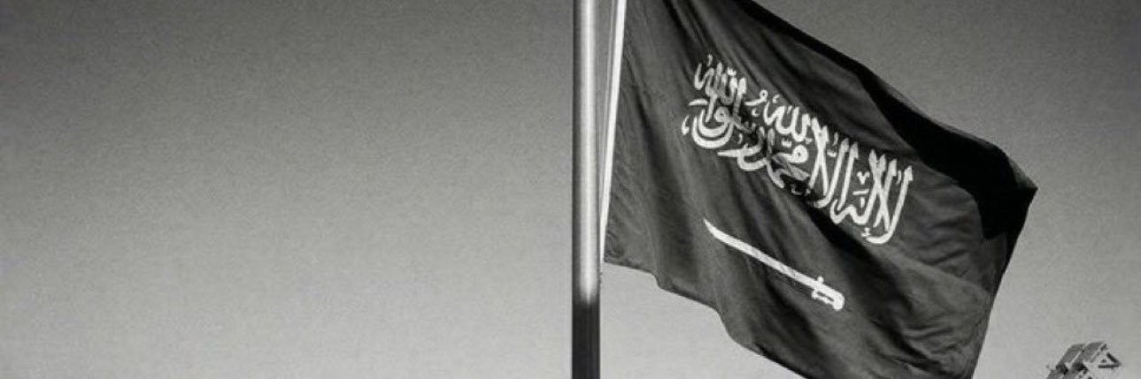 نوف نوف banner