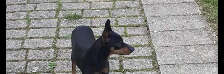 isabellaran's profile banner image