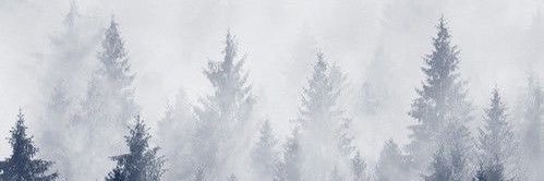 _Auss__'s profile banner image